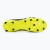 Zdjęcie 5