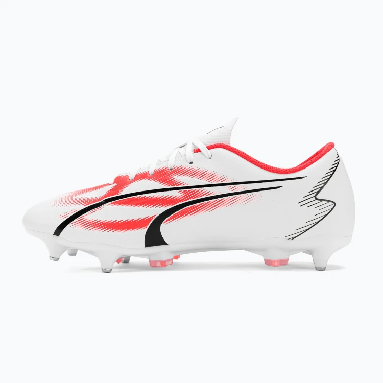 Zdjęcie 11