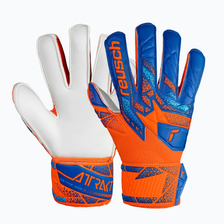 Zdjęcie 1