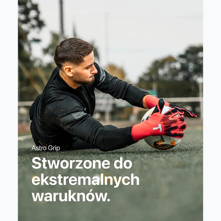 Zdjęcie 7